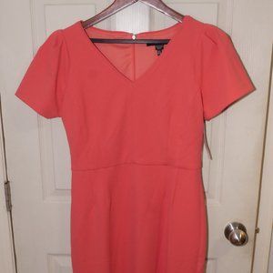 MAGGY LONDON coral pencil dress